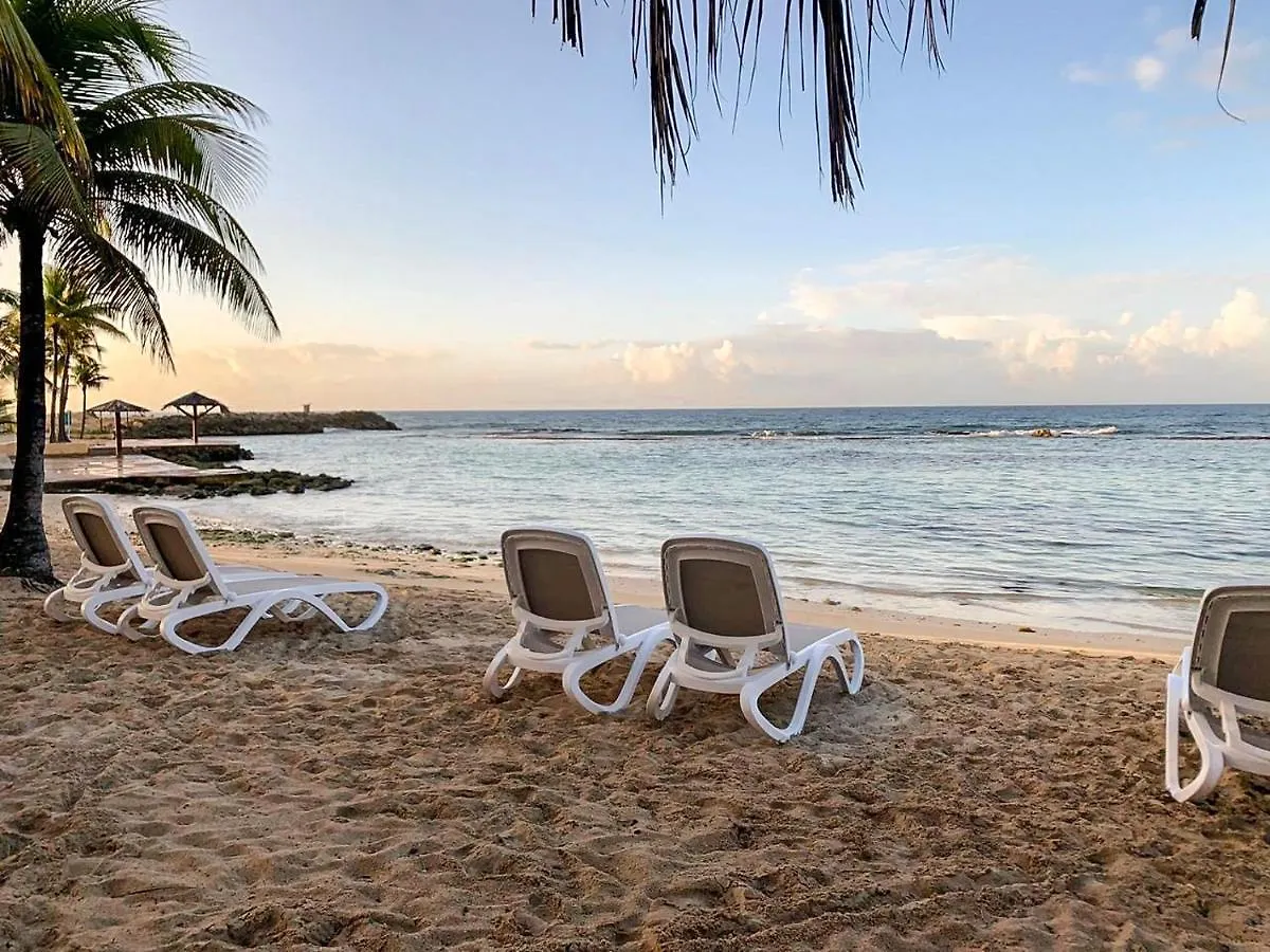 Studio Lux Kevy Manganao Vue Sur Mer, Piscine & Plage Privee Belle-Allee