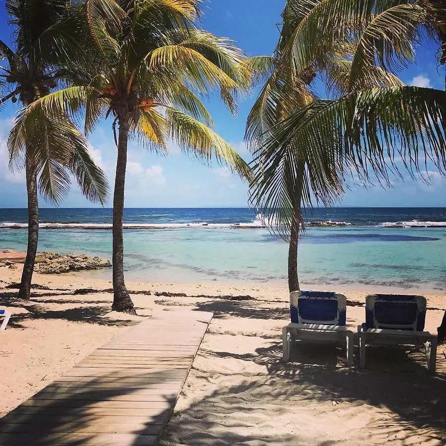 Studio Lux Kevy Manganao Vue Sur Mer, Piscine & Plage Privee Belle-Allee